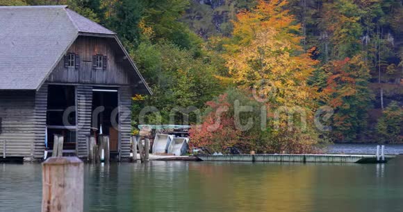 德国干净美丽的国王湖欧洲旅游阿尔卑斯山湖水鸭视频的预览图