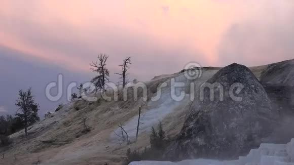 美丽的粉红色日落在黄石喷泉可爱的鹿景观在4k拍摄视频的预览图