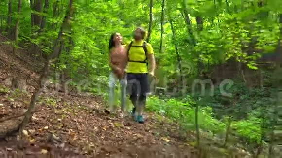 雄性和雌性徒步旅行者在阳光明媚的夏季森林中行走4K跟踪Stealam镜头视频的预览图