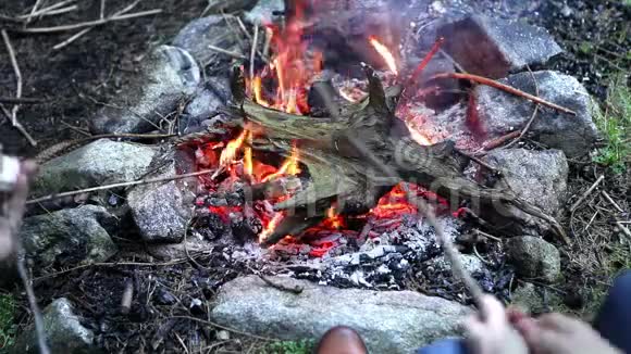 一对夫妇在寒冷的森林里的篝火上烤棉花糖视频的预览图