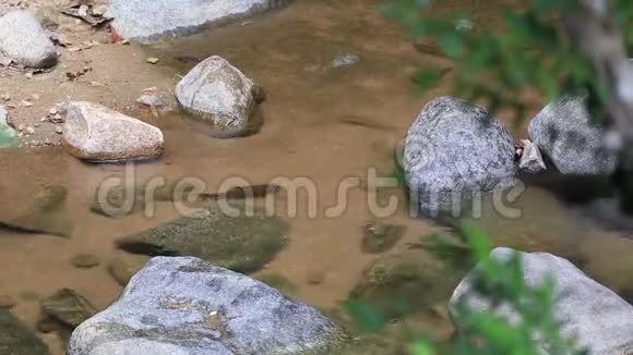 鱼在瀑布中游泳NamtokPhlio在国家公园Chanthaburi省泰国视频的预览图