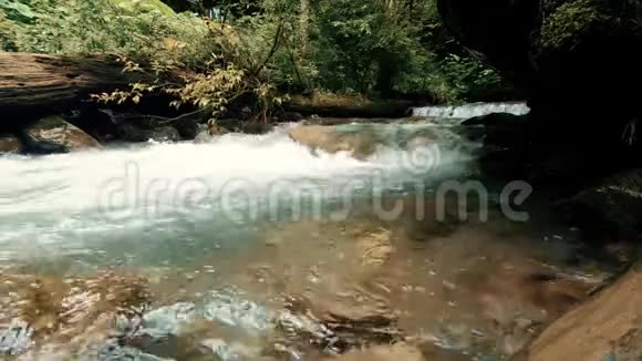 肆虐的山河视频的预览图