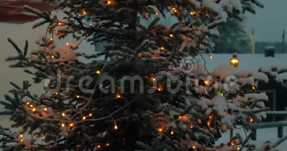 带灯光的圣诞树夜景视频的预览图
