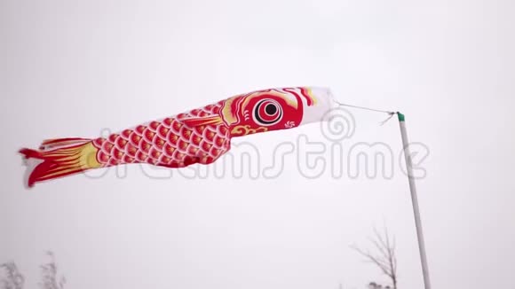 强风阵风冬天的风带有旋转螺旋桨的木制飞机形状的风向标一个风向标视频的预览图