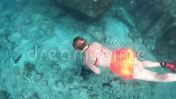 女子呼吸暂停浮潜圣皮埃尔岛视频的预览图