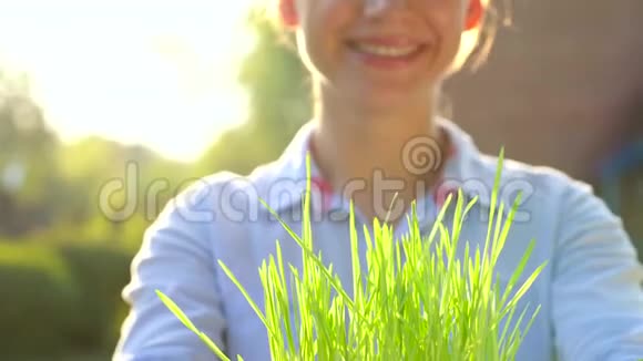 雌手伸出一把长满青草的土增长关怀可持续性保护地球的理念视频的预览图