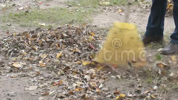 女人用扫帚在公园里扫树叶视频的预览图