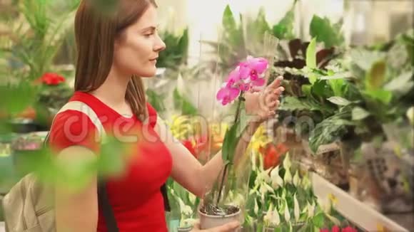 女人更仔细地看着一排排放纵的花然后拿起锅看和闻视频的预览图