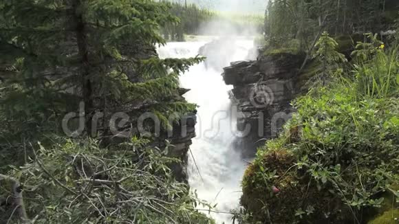 加拿大阿尔伯塔阿哈巴斯卡瀑布在峡谷视频的预览图