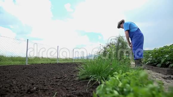 种植者举起了用来把花园分成两部分的木板视频的预览图