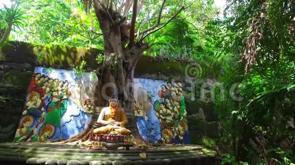 印度尼西亚巴厘岛榕树下的佛陀视频的预览图