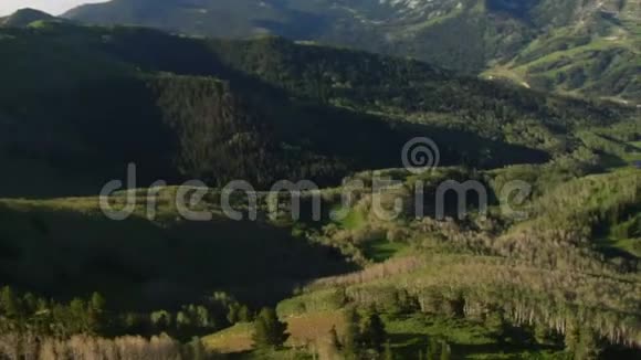 空中拍摄的绿色森林和山脉与小径视频的预览图