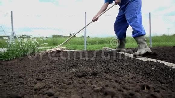 用耙子准备播种蔬菜的田面视频的预览图