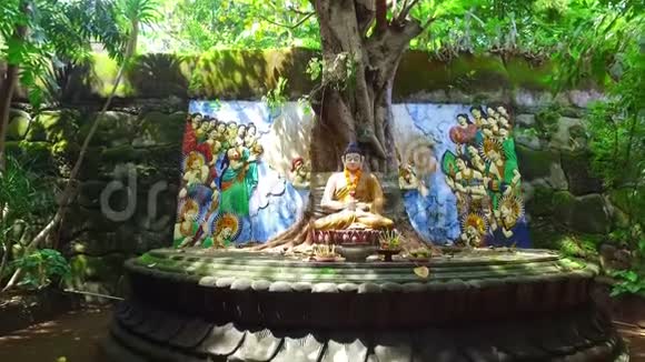 印度尼西亚巴厘岛榕树下的佛陀视频的预览图