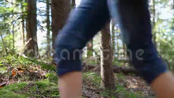 穿过森林的人群视频的预览图