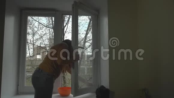 在春天的一天黑发女人洗了窗户视频的预览图