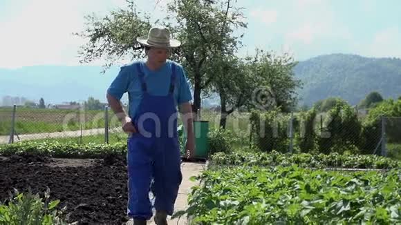 园丁回顾土豆的收获视频的预览图
