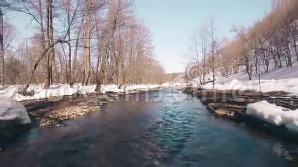 林中春溪季节的变化和春天的开始视频的预览图