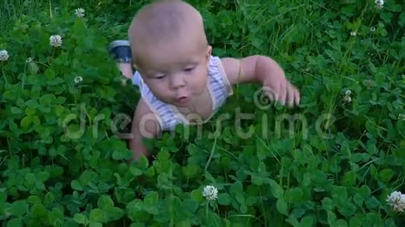 小男孩在草地上爬行视频的预览图