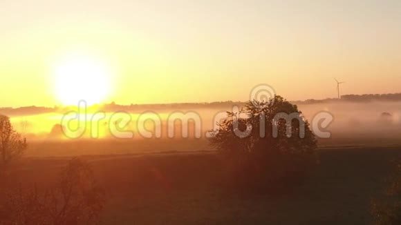 在湖上和草地上飞行早晨有美丽的日出视频的预览图