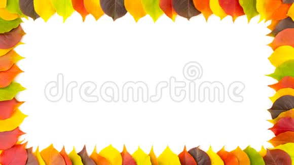 秋天罗兰伯里色彩斑斓的秋叶的边框4K动画视频的预览图