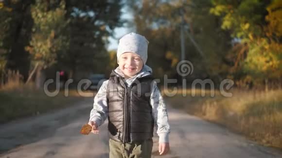 快乐的小男孩在秋天公园跑步小孩子在秋步上玩耍金叶的秋林视频的预览图