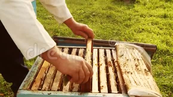 养蜂人从蜂巢里得到一个框架视频的预览图