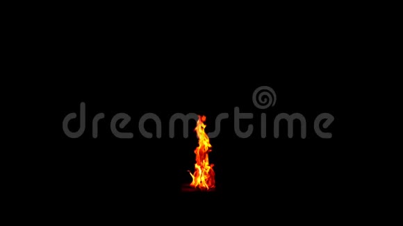 火焰在黑色背景上闪耀视频的预览图