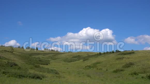 拍摄黄绿色的小山和天空与云野草视频的预览图