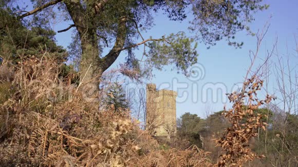 伦敦附近的英国乡村早春山榉木复制空间背景石山塔和古树视频的预览图