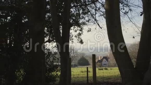伦敦附近的英国乡村早春山榉木复制空间背景古树之间的小径视频的预览图