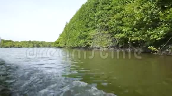 穿越印度尼西亚红树林海峡的红树林游视频的预览图