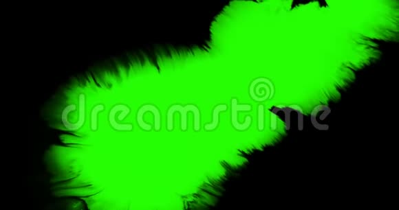 抽象漆刷笔划形状白色墨水溅出在色度键绿色屏幕上流动墨水溅出溅出效果视频的预览图