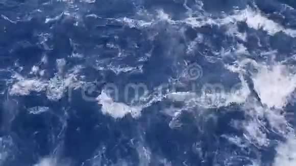 水波背景视频的预览图