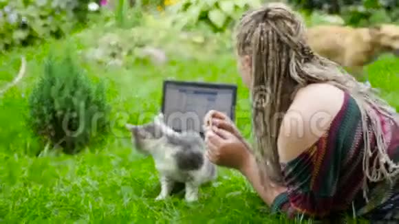 漂亮的女孩和一只猫和一只狗玩高清高清视频的预览图