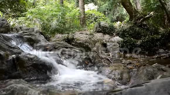 山林中的小瀑布视频的预览图