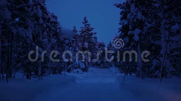 汽车驶过冬夜森林视频的预览图