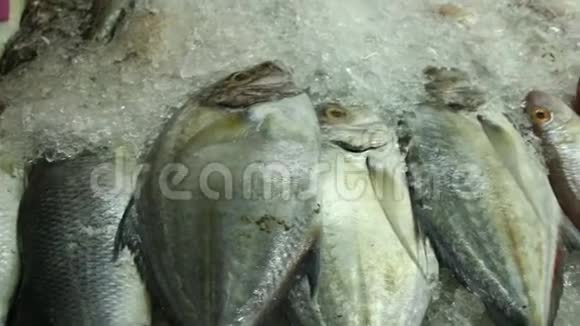 鱼在市场清迈泰国视频的预览图