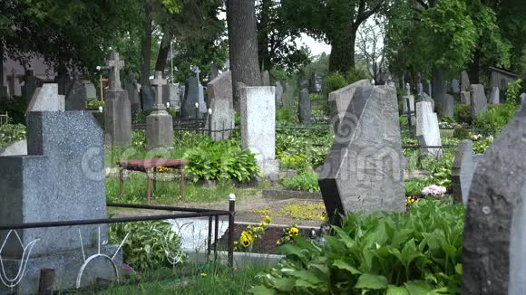 年轻女孩在墓地里经历了巨大的损失4K视频的预览图