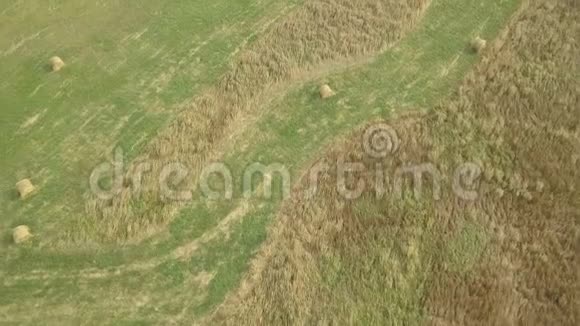 干草堆上的稻草收割小麦后夏季农场风景与干草堆空中镜头视频的预览图
