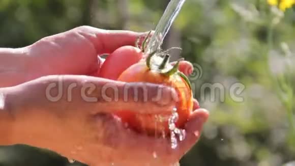 在大自然的背景下女性用手在水流下洗蔬菜视频的预览图