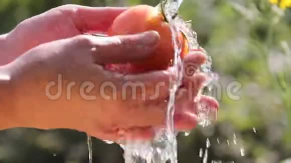 在大自然的背景下女性用手在水流下洗蔬菜视频的预览图