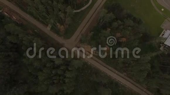 空中全景观景路和巨大的松林视频的预览图