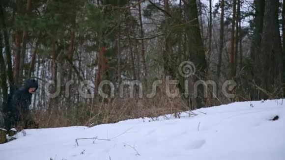冬季松林中的男子漫步视频的预览图