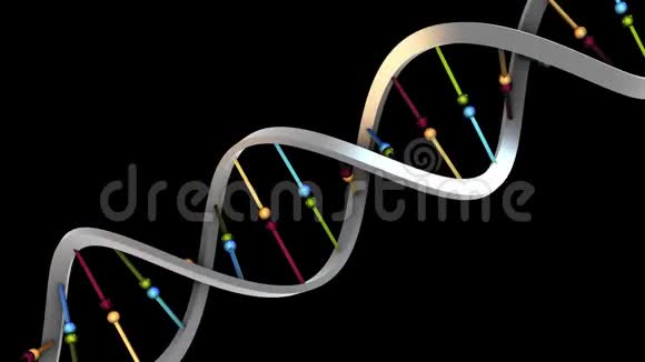 DNA对角线金属色视频的预览图