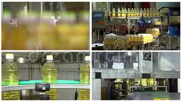 葵花籽油生产线多屏视频的预览图
