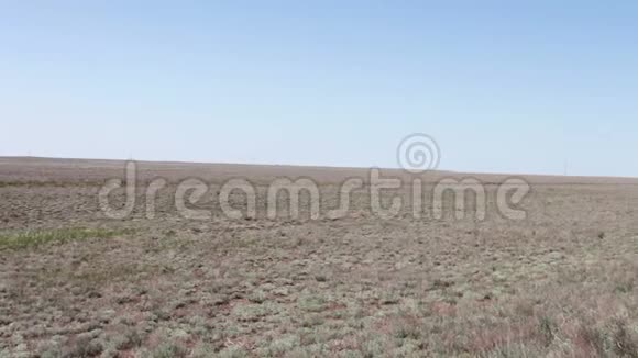俄罗斯卡尔米基亚共和国蓝天沙漠草原视频的预览图