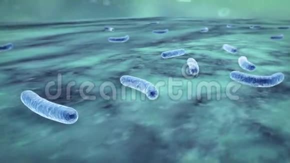 细菌视频的预览图