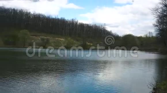 美丽宁静的湖泊和森林视频的预览图