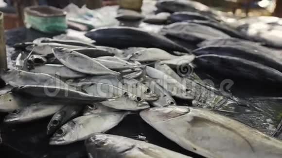 新鲜的鱼在街头市场视频的预览图